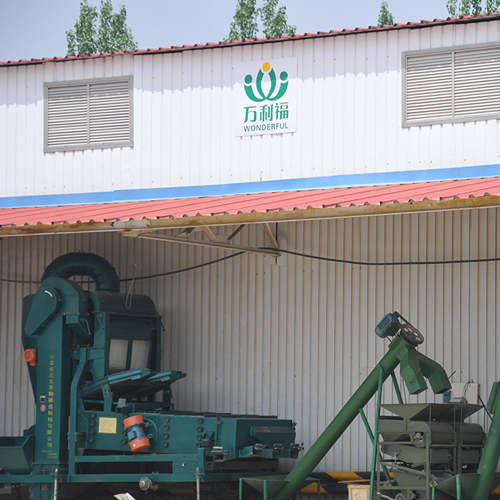 亞麻原料復(fù)式清選機(jī)、去石機(jī)